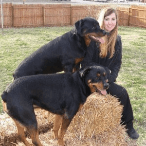 Adrienne Farricelli, CPDT-KA certified professional dog trainer